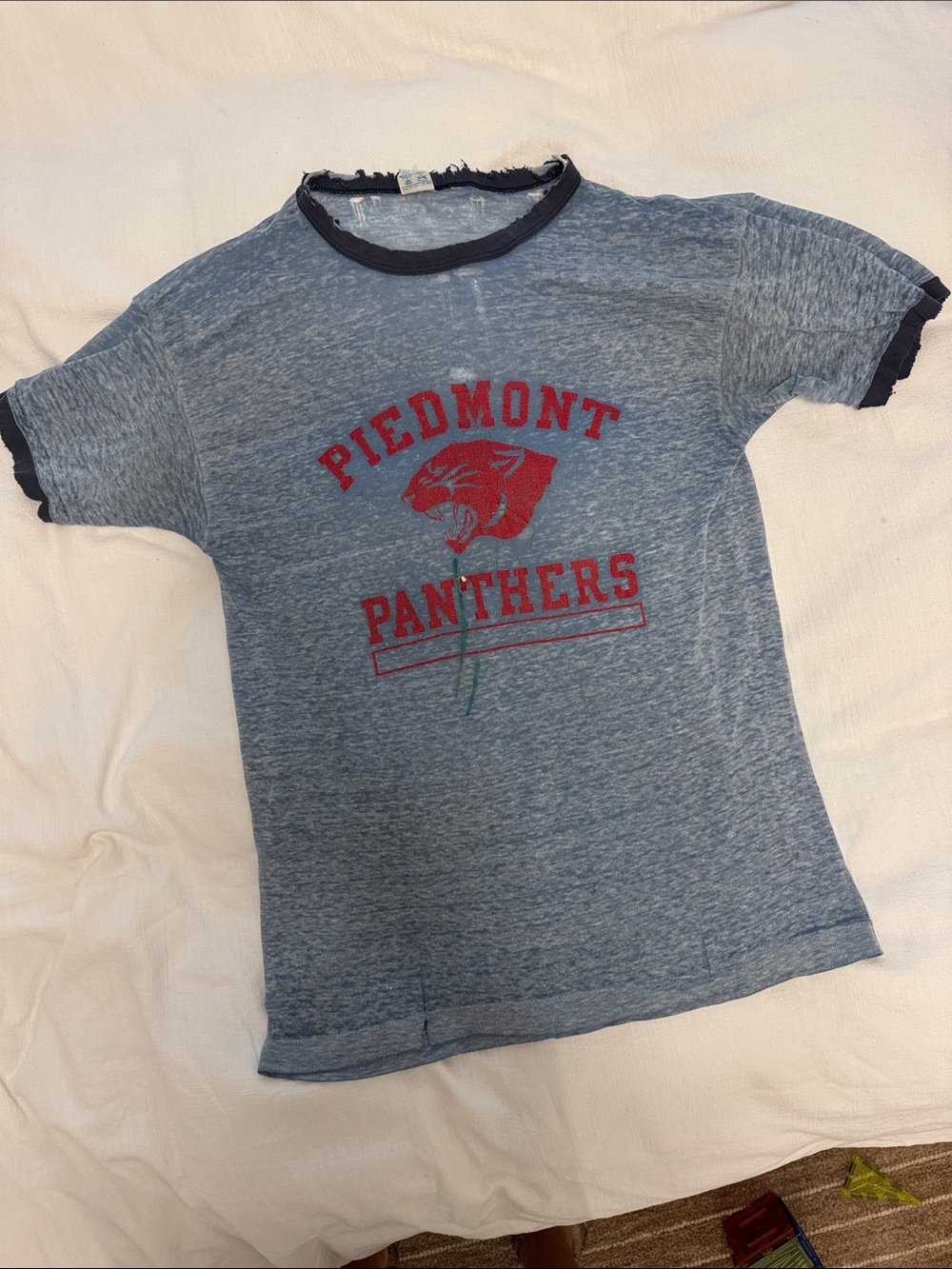 Vintage Piedmont Panthers Heather Blue Graphic Tee